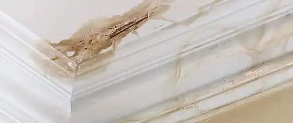 Active leak