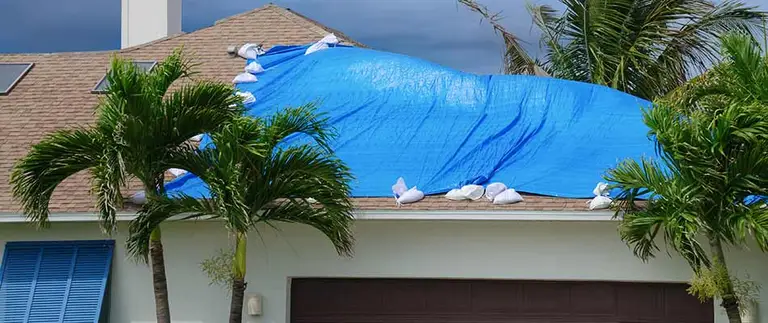 Storm damage project photo 1